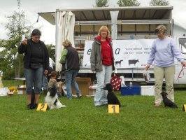 Concours Agility Chailly